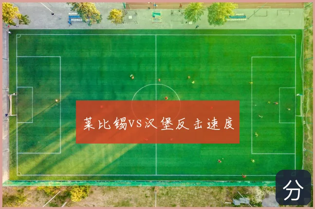 莱比锡vs汉堡反击速度