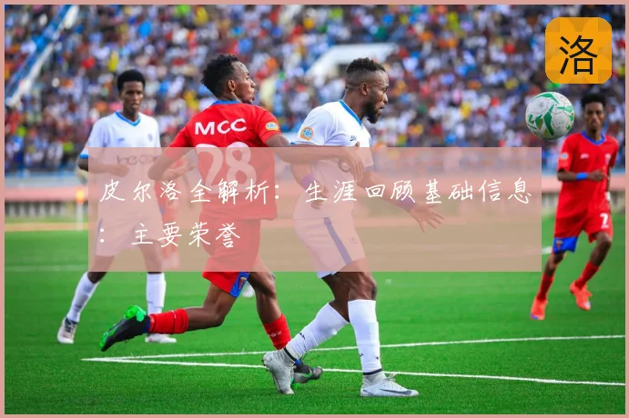 皮尔洛全解析:生涯回顾基础信息:主要荣誉